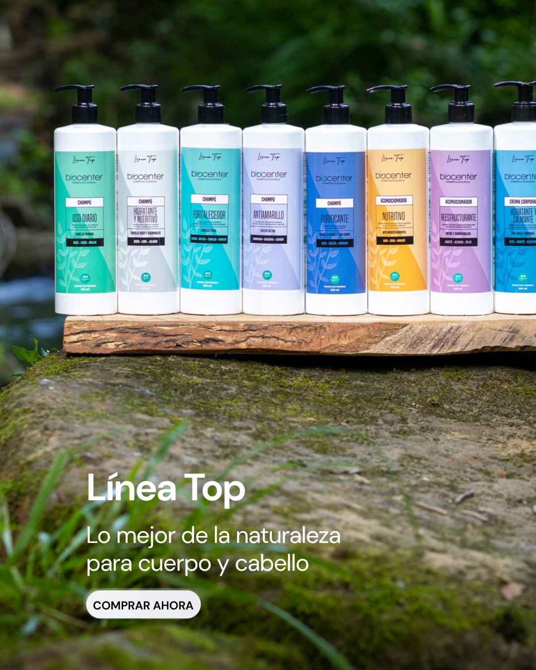 Línea Top